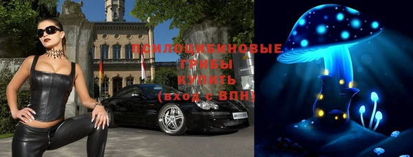 jwh Богородск