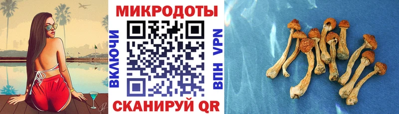 Псилоцибиновые грибы прущие грибы  Купить где  Краснокамск 